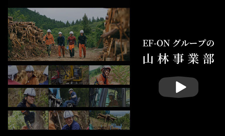 EF-ONグループの山林事業部