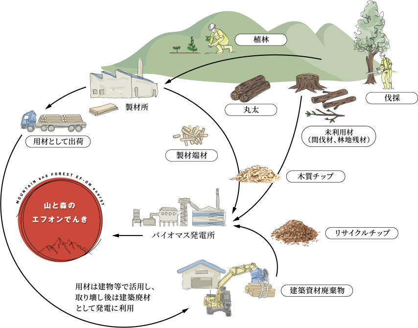 無駄なく循環する森林資源。